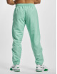 Sergio Tacchini Jogginghose Carson 021 grün