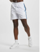 Sergio Tacchini Short Mesh Damarindo blanc