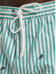 Sergio Tacchini Short Granda vert