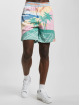 Sergio Tacchini Shorts Riviera färgad