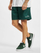 Sergio Tacchini shorts Rob 021 groen