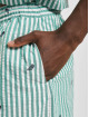 Sergio Tacchini Shorts Granda grün
