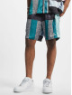 Sergio Tacchini Shorts Gandolfo V2 mangefarvet