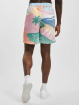 Sergio Tacchini Shortsit Riviera kirjava