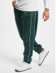 Southpole Jogginghose Tricot grün