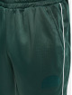 Southpole Jogginghose Tricot grün