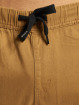 Southpole Pantalon chino Stretch brun