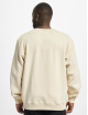 Southpole Pullover Special 3D Print beige