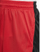 Southpole Short Basketball Mesh red