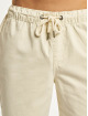 Southpole Shorts Twill beige