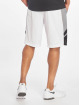 Southpole Shorts Basketball Mesh hvit