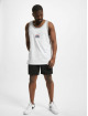 Southpole Shorts Twill svart