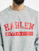 Southpole Sweat & Pull Harlem gris
