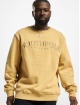 Southpole Swetry Script 3D Embroidery bezowy