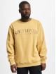 Southpole Swetry Script 3D Embroidery bezowy