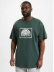Southpole T-shirts Square Logo grøn