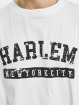 Southpole T-skjorter Harlem hvit
