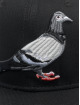 Staple Snapback Caps Pigeon czarny