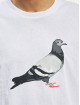 Staple Tričká Pigeon Logo biela