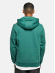 Starter Black Label Hoody Label Team 1971 groen