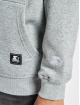 Starter Hoodie Two Color Logo grey