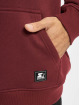 Starter Hoody The Classic Logo rot