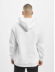 Starter Hoody The Classic Logo wit