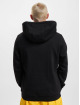 Stylewriting Hoody Legal zwart