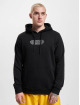Stylewriting Hoody Legal zwart