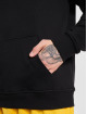 Stylewriting Hoody Legal zwart