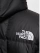 The North Face Gewatteerde jassen Lhotse Hooded zwart