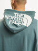 The North Face Hoodie Seasonal Drew Peak blue