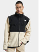 The North Face Lightweight Jacket Denali Fleece beige