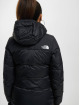 The North Face Manteau hiver Diablo noir