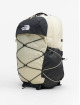 The North Face Reput Borealis beige