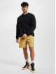 The North Face Shorts Ripstop Cargo Easy beige
