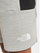 The North Face shorts Fleece grijs