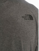 The North Face T-Shirty Easy szary