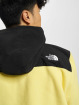 The North Face trui Denali Fleece geel