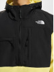 The North Face trui Denali Fleece geel
