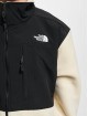 The North Face Übergangsjacke Denali Fleece beige