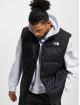 The North Face Västar Tnfblkblk svart