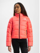 The North Face Vinterjackor NSE 2000 ros