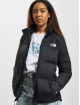 The North Face Vinterjakker Diablo sort