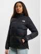 The North Face Vinterjakker Diablo sort