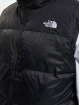 The North Face Weste Tnfblkblk schwarz