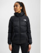 The North Face Winter Jacket Diablo black