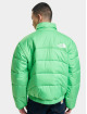 The North Face Winter Jacket NSE 2000 green