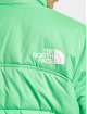 The North Face Winter Jacket NSE 2000 green