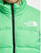 The North Face Winter Jacket NSE 2000 green